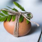 Plant-based Egg Replacement Options