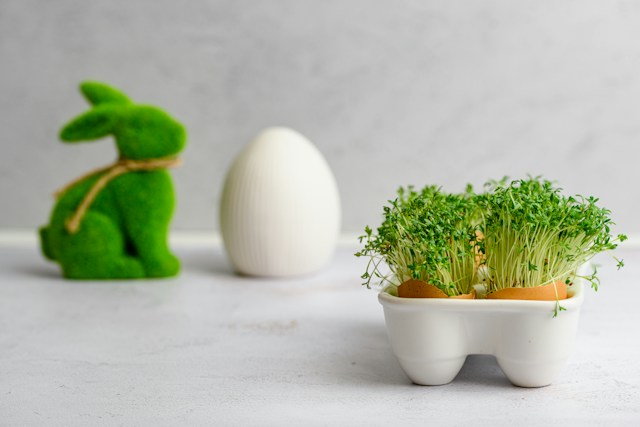 Cress growing in an egg shell, easter mood_Celebrate a Healthy Easter: Plant-Based Twists on Your Favorite Holiday Dishes