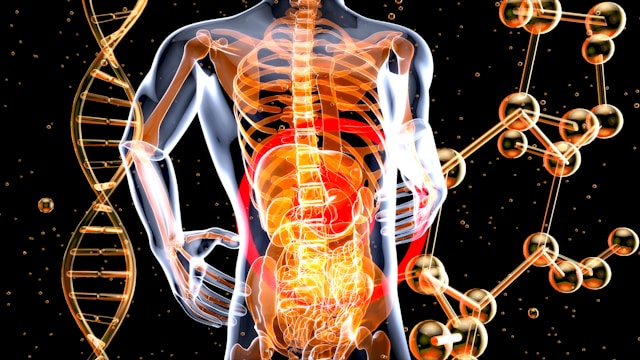 Chronic Inflammation and Aging: What You Need to Know About Inflammaging